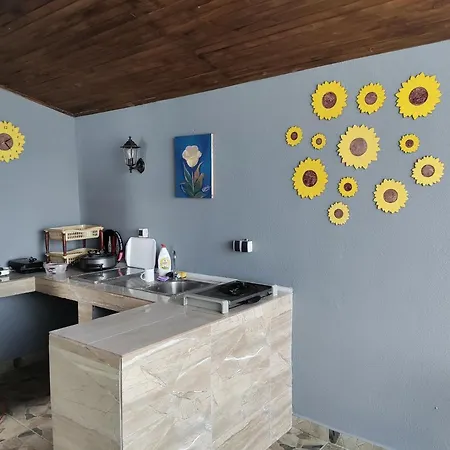 Villa Sunflower Mostar